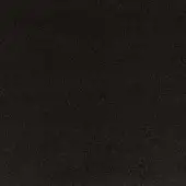 306894 - ANTRACITE